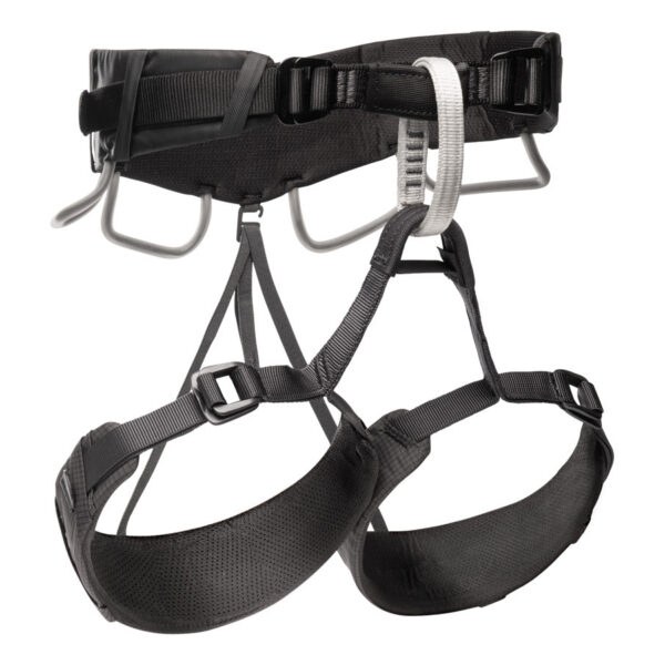 Momentum 4S Mens Harness